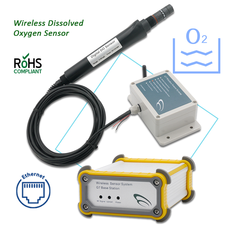 NEW Real-time Monitoring Water - Do Oxygen Meter ulasan dan harga