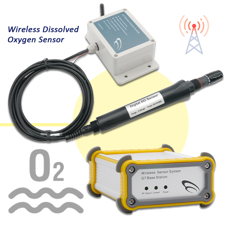 NEW Real-time Monitoring Water - Do Oxygen Meter ulasan dan harga